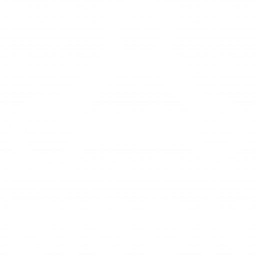 BISDN logo
