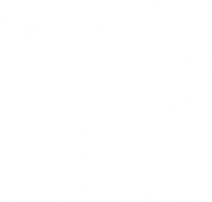 BISDN Logo